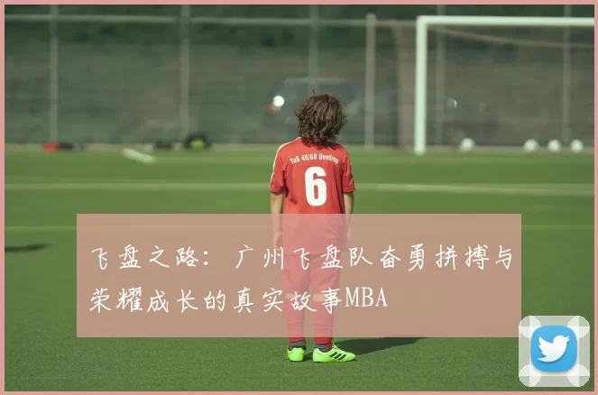 飞盘之路：广州飞盘队奋勇拼搏与荣耀成长的真实故事MBA