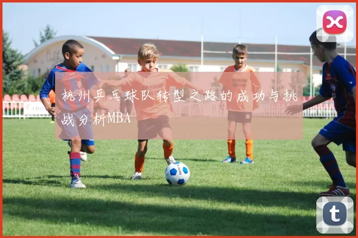 杭州乒乓球队转型之路的成功与挑战分析MBA