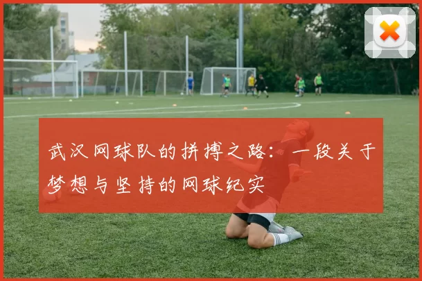 武汉网球队的拼搏之路：一段关于梦想与坚持的网球纪实
