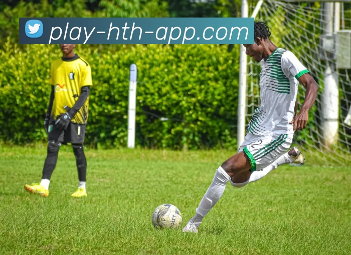 App Interface Preview